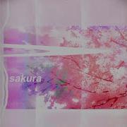 Forever Sakura