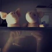 Свиньи Танцуют Под Рэп Маразм Pig N Piga 1