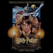 Harry Potter Hedwig S Theme Tendu 1 Nate Fifield