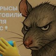 Stryna Tarot Что Приготовили Крысы Для Вас