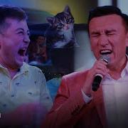 Жамшидбек Норматов Мушук