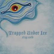 Trapped Under Ice Between The Sheets