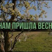 Минус Пришла Весна
