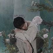 Lullaboy Life With U