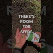 Where There S More