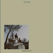 Missing Out Wallows