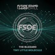 Tiny Little Molecule The Blizzard