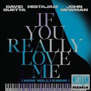 If You Really Love Me How Will I Know Mistajam Remix Extended David