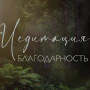Энергия Благодарности Высшие Вибрации Александра Белякова