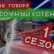 Короче Говоря Я Бездомный Котёнок