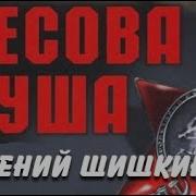 Евгений Шишкин Бесова Душа
