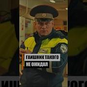 Приколы Гаи