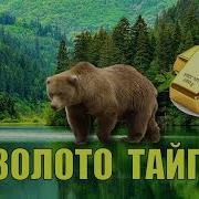 Золото Прииска Медвежий Аудиокнига