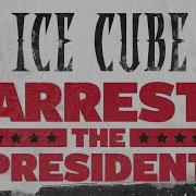 Ice Cube Arest