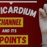 Meridian Function