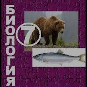 Параграф 28 Биология Константинов