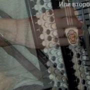 Взял Вину На Себя Баян