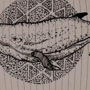 Коля Маню Спасай Китов