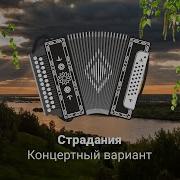 Страдания На Гармошке