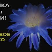 Музыка Для Души Релакс Красивая Музыка Музыка В Стиле Энигма