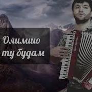 Масти Ту Будам