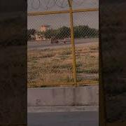 Марги Мухочир