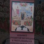 Акафист Непроходимая Дверь