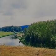 Песня Первоцвет Сталкрафт