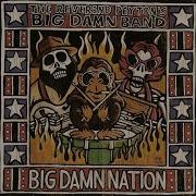 Spreadin Your Love Around The Reverend Peyton S Big Damn Band