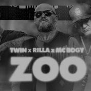 Twin Zoo