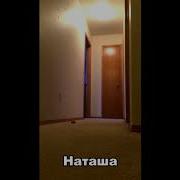 Попугай Кричит Наташа И Бегает По Квартире