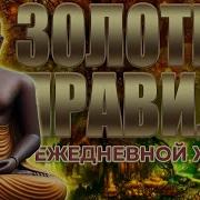 Золотые Правила Ежедневной Жизни
