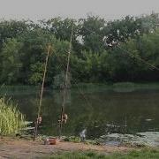 Голых Девушек Отдыхающих На Природе