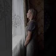 9 Мая Весна 9 Мая Цветы Mp4