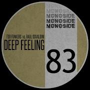 Deep Feeling Radio Edit Foo Funkers Raul Osvaldini