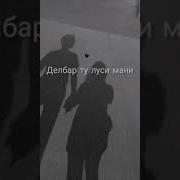 Бехтарин Суруди Ирони Ebi Aali