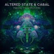 Magic Mushrooms Altered State Cabal