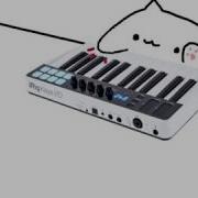 Bongo Cat Meme V1