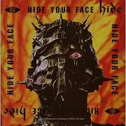 Hide Scanner