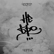 Цинус Chester Nebro