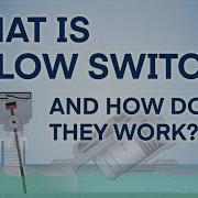 Flow Switch