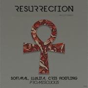 Softmal Llølita Cris Hoefling Promiscuous Extended Mix