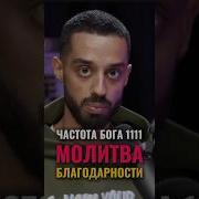 Сокол Ра Божественный Знак Того Что Ваша Жизнь Начнет Меняться К Лучшему 888 Гц