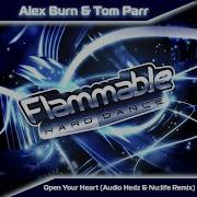 Alex Burn Open Your Heart Audio Hedz Nu Life Remix