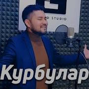 Курбулар Текст