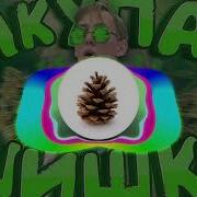 Закупаю Шишки Продаю Их В Школе Bass