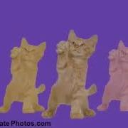 Go Kitty Go Remix