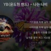 Yb 나는 나비