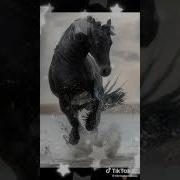 Песня Заприги Лошадей Полная Версия