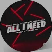 Deep Soul Syndicate Rona Ray All I Need Sean Ali Remix